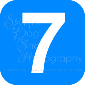 SEVEN