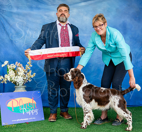 SfxY-1947