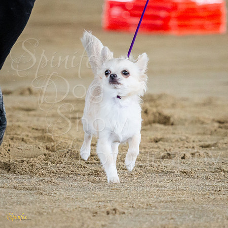 SfxA-5375
