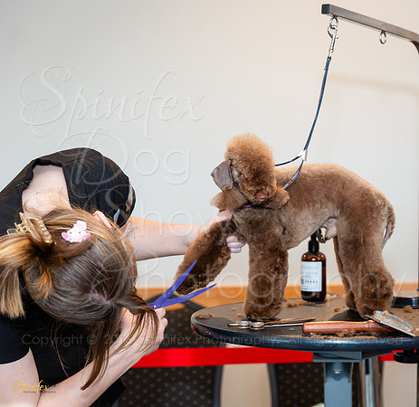 SfxY-2327