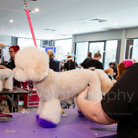 SfxY-2715