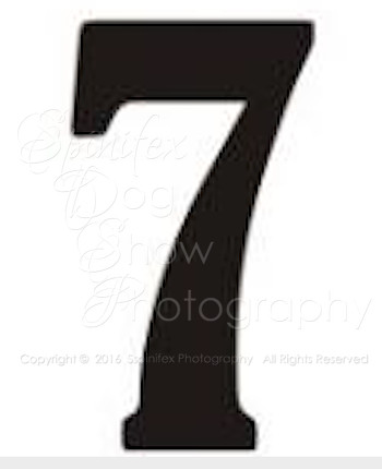 SEVEN