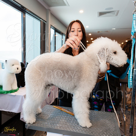SfxY-3033