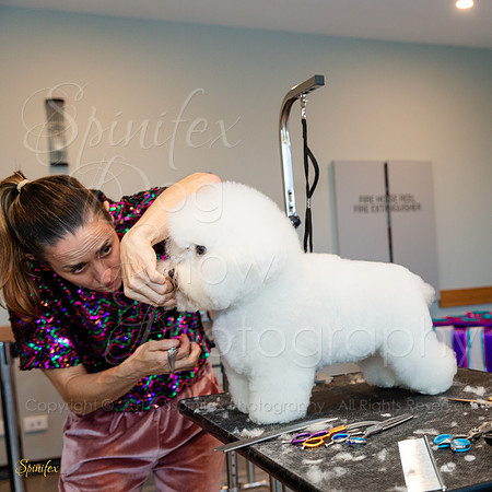SfxY-3076