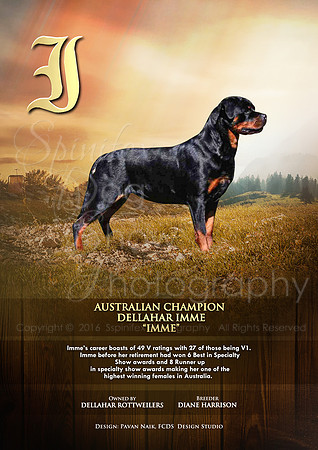 FCDS Rottweiler I