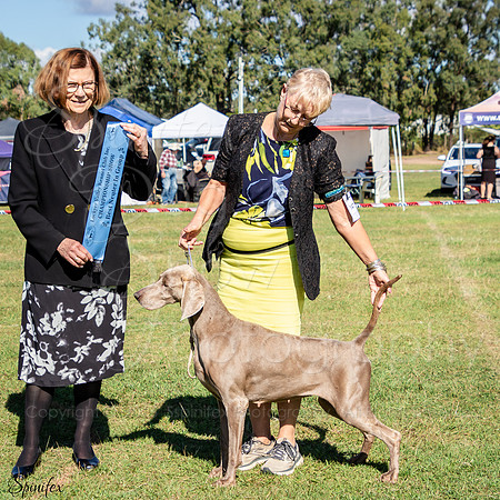 SfxJ-5557
