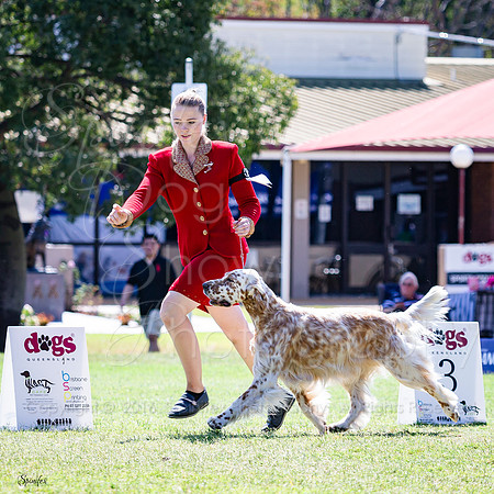 SfxV-0477