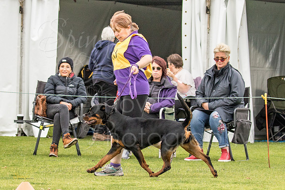 Sfx-4103
