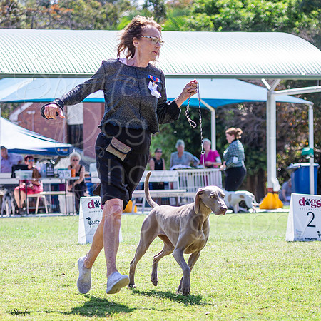 SfxV-0416