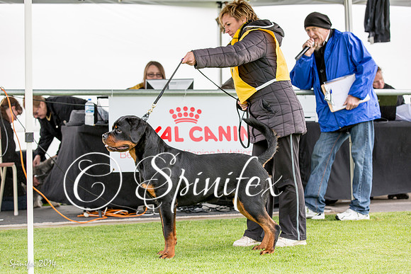 RCSAJ2014-5338