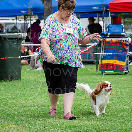 SfxA-6183