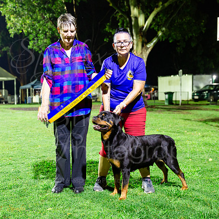 SfxY-4247