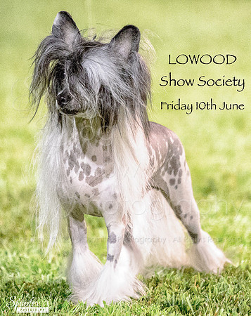 Lowood