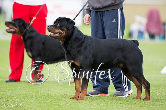 RCSAJ2014-6545