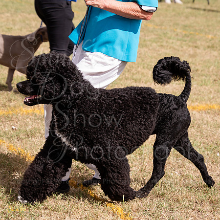 SfxJ-0932