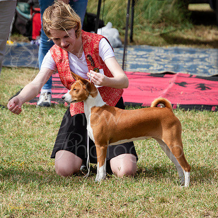 SfxJ-0937