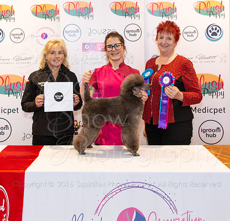 Sfx-6502