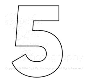 Five