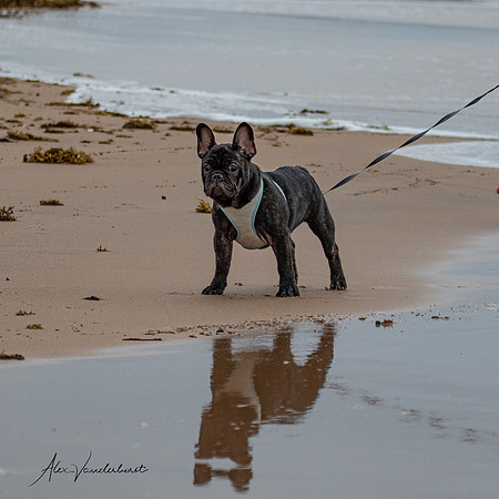 My first trip to the beach , age 16 weeks
