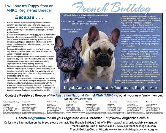 Me in a Frenchy Advert - Christine Fornaster designed.