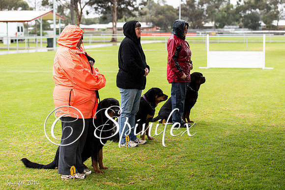 RCSAJ2014-5185