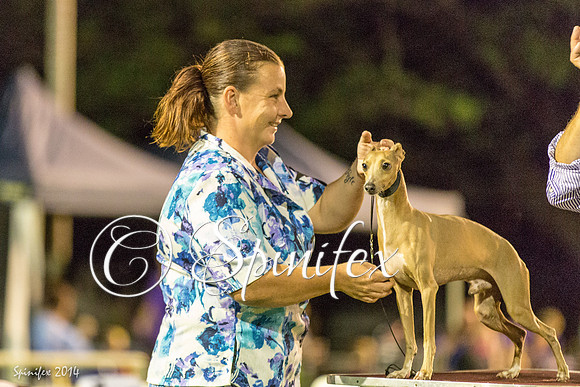 DABKC May 2014-3887