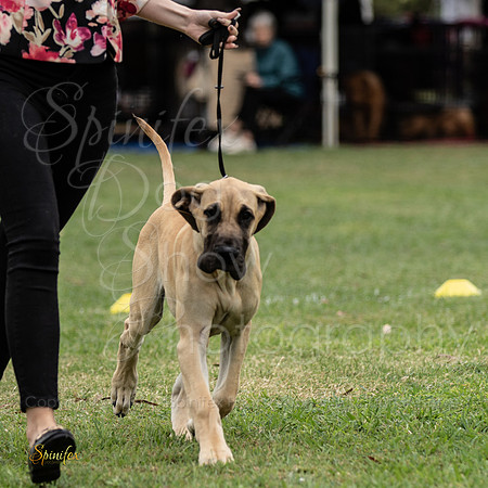 Sfx-0281
