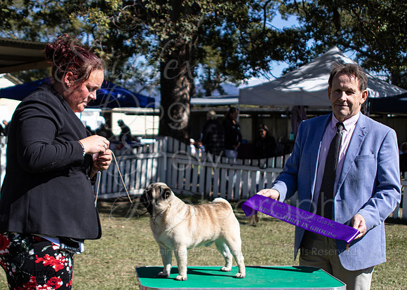 Sfx-J-2598
