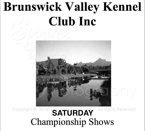 BVKC SAT