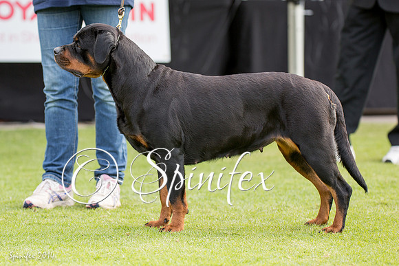 RCSAJ2014-5664