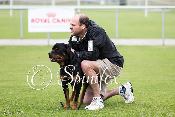 RCSAJ2014-5875