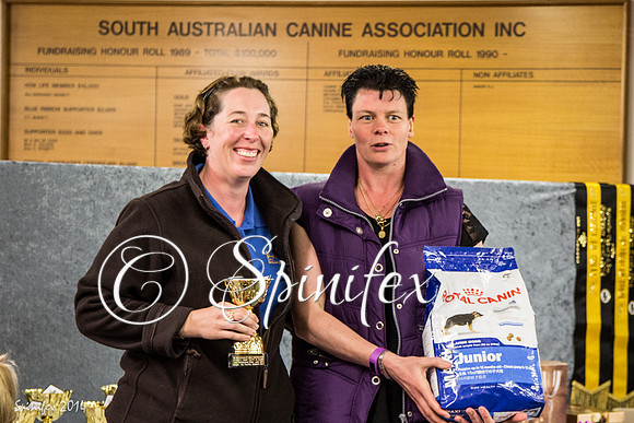 RCSAJ2014-6649