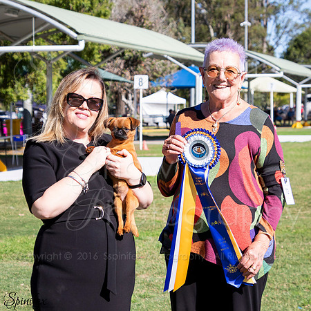 SfxJ-6515