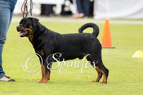 RCSAJ2014-6068