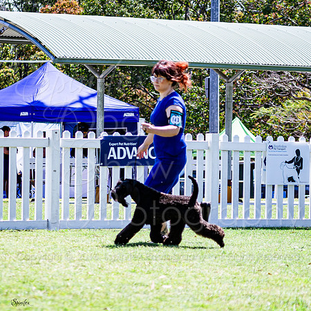 SfxV-9792