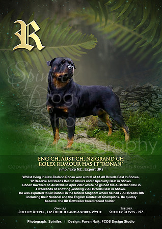 FCDS Rottweiler R1