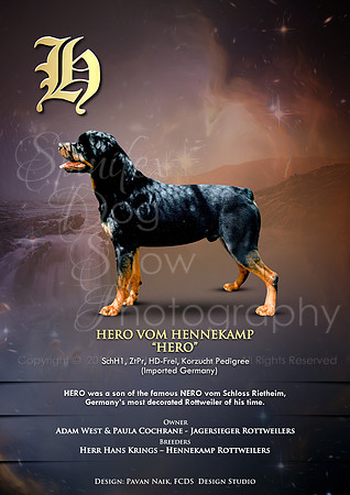 FCDS Rottweiler H