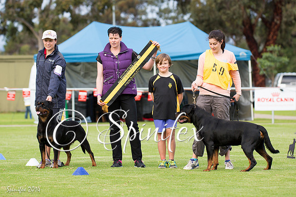 RCSAJ2014-6572