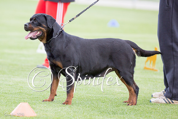 RCSAJ2014-5764