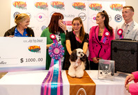 Sfx-6619