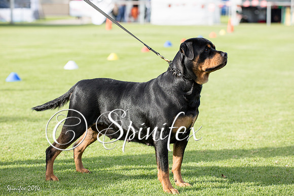 RCSAJ2014-5706