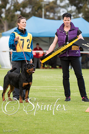 RCSAJ2014-6481