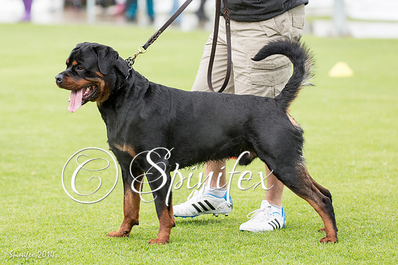 RCSAJ2014-5975