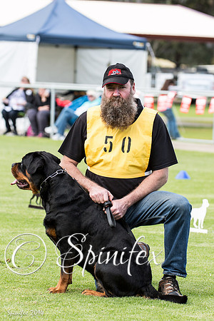 RCSAJ2014-6193