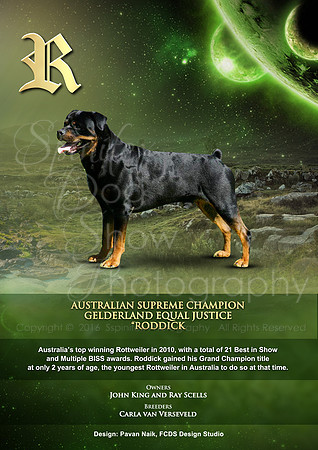 FCDS Rottweiler R2