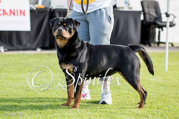 RCSAJ2014-5578