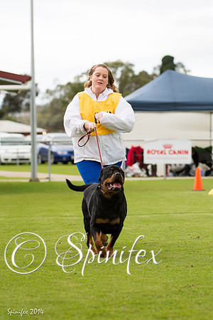 RCSAJ2014-6417