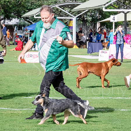 SfxJ-3114