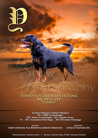 FCDS Rottweiler Y