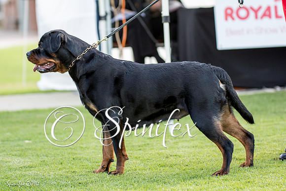 RCSAJ2014-5726